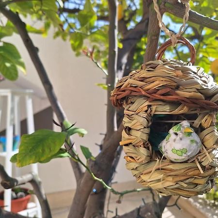 La Pigna Dell'Etna Daire Nicolosi Dış mekan fotoğraf